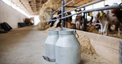 Srbija zabranila uvoz mlijeka iz Bosne i Hercegovine, traže se kontra mjere