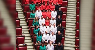 GLAS OTPORA IZ ITALIJE – PARLAMENT U BOJAMA PALESTINE!